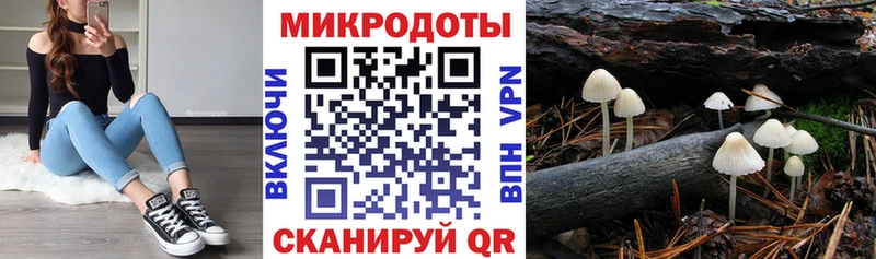 маркетплейс состав  как найти   Дыгулыбгей  Галлюциногенные грибы Psilocybine cubensis  блэк спрут маркетплейс 