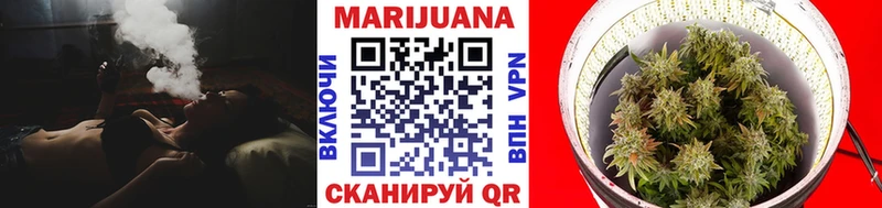 Конопля Amnesia  купить  цена  Дыгулыбгей 